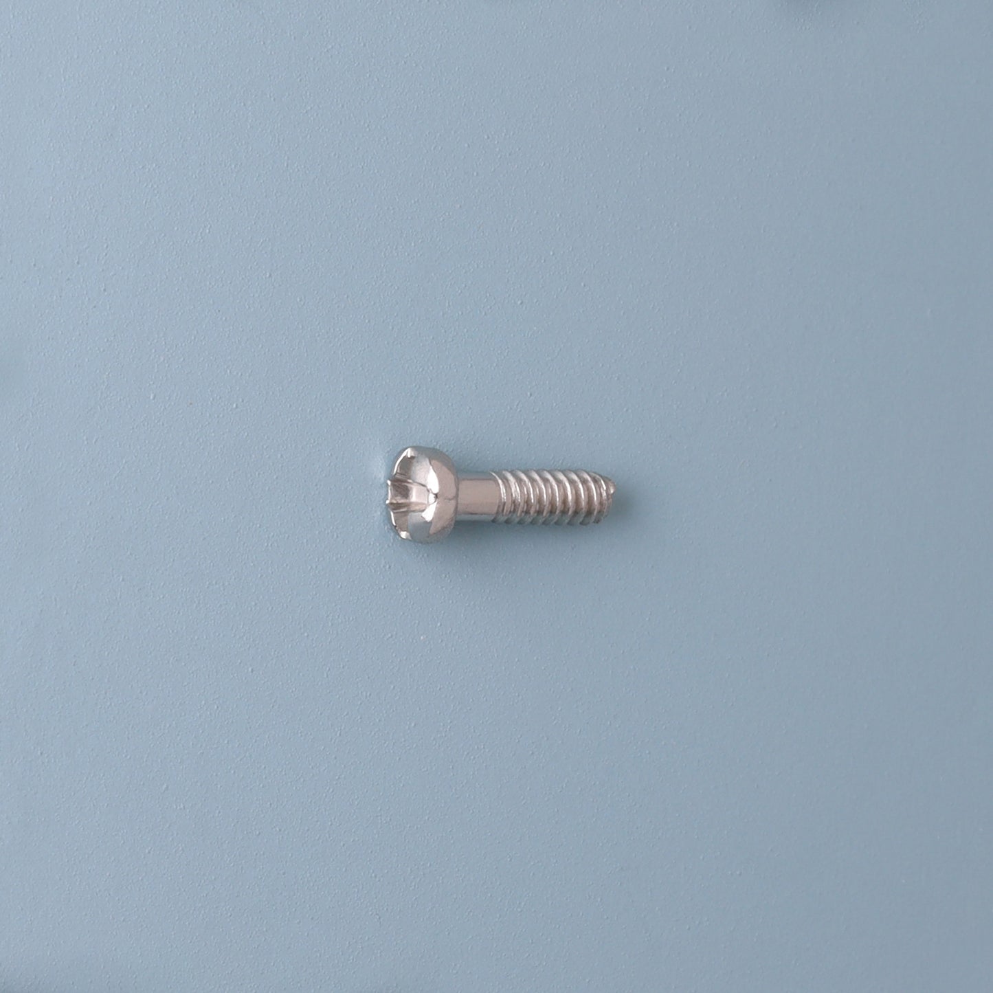 SR-8101 Padschroef | M1.0 | Lengte 4.1 | Kop 1.8 | Zilver