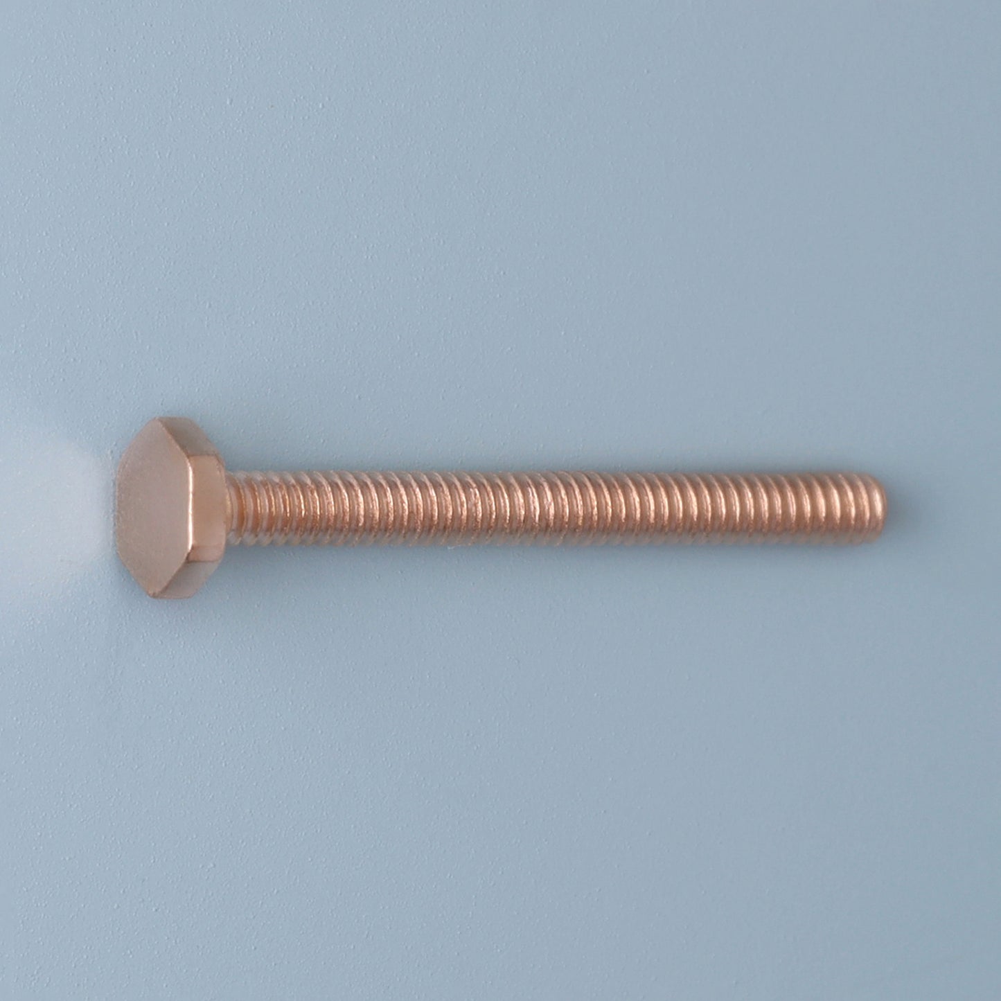 SR-8206 Zeskantschroef | M1.2 | Lengte 12.0 | Kop 2.5 | Rosé goud