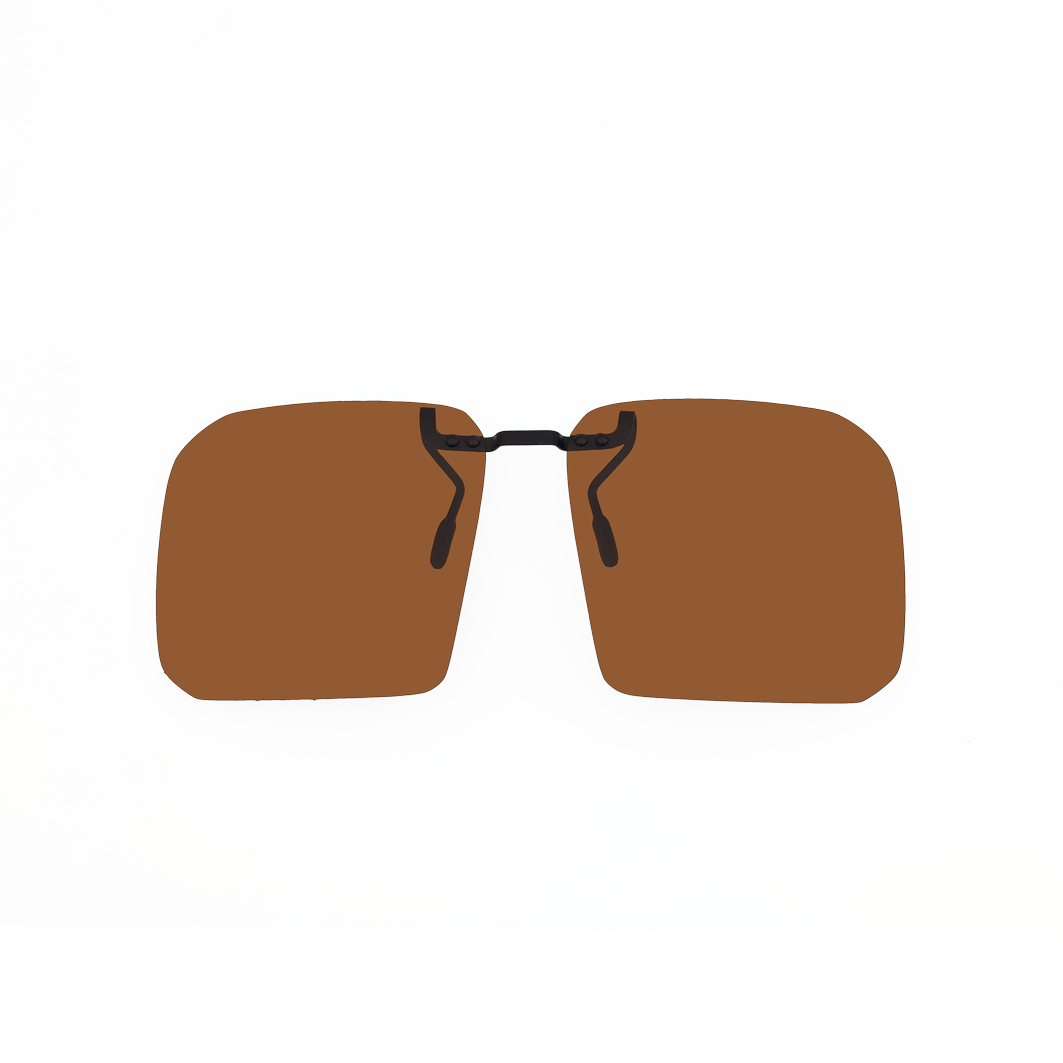 SC-0031 Braun