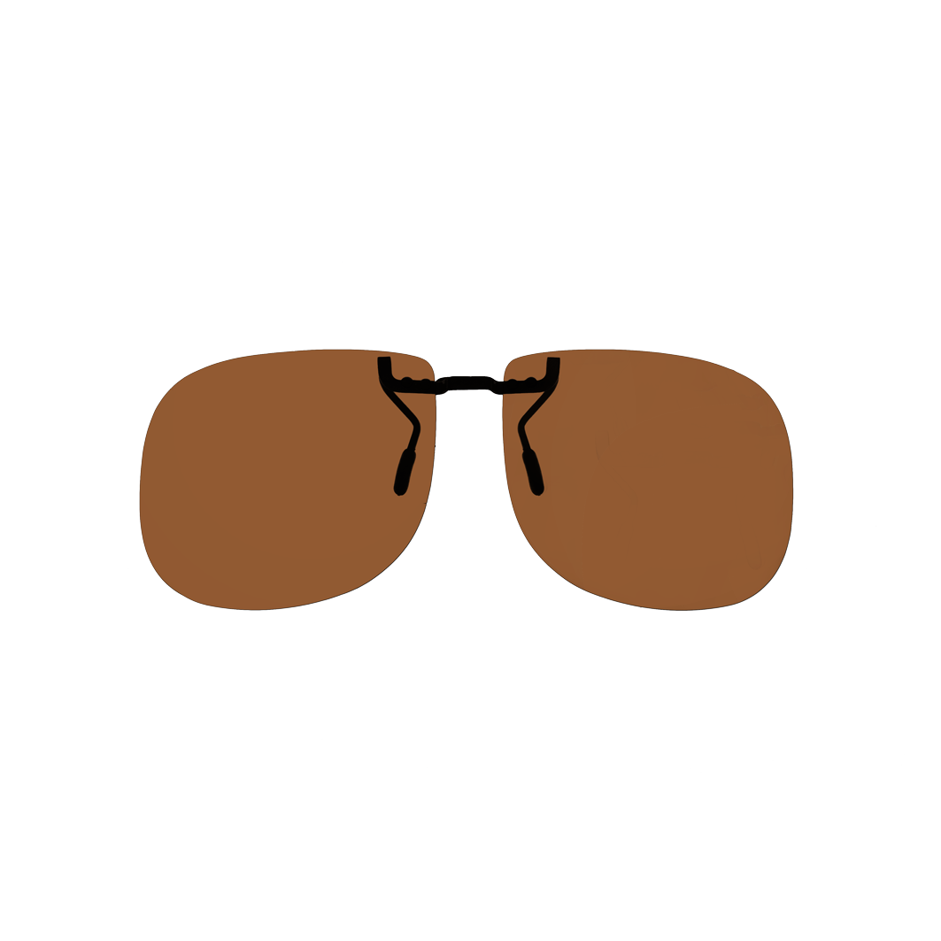 SC-0032 Braun