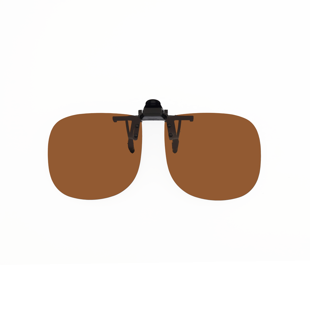 SC-0012 Braun