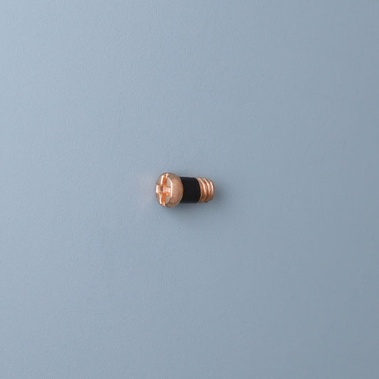 SR-8401 Scharnierschroef | M1.4 | Lengte 3.0 | Kop 2.0 | Rosé goud