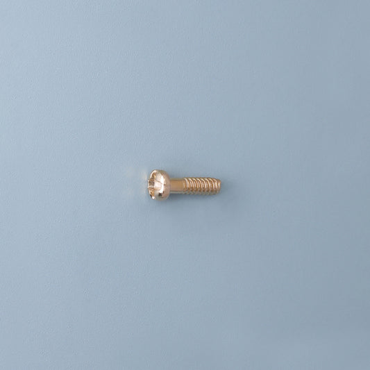 SR-8101 Padschroef | M1.0 | Lengte 4.1 | Kop 1.8 | Goud