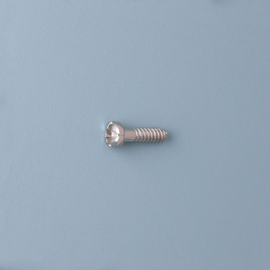 SR-8101 Padschroef | M1.0 | Lengte 4.1 | Kop 1.8 | Zilver