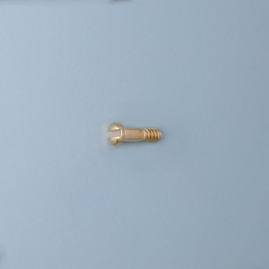 SR-8102 Padschroef | M1.0 | Lengte 4.1 | Kop 1.6 | Goud