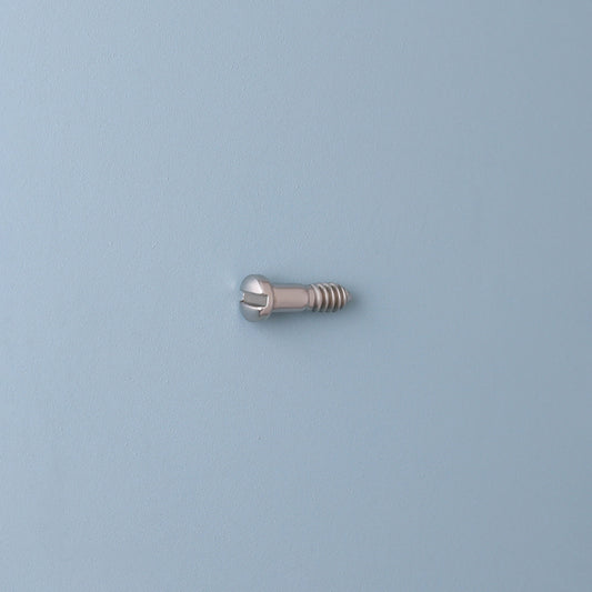 SR-8102 Padschroef | M1.0 | Lengte 4.1 | Kop 1.6 | Zilver