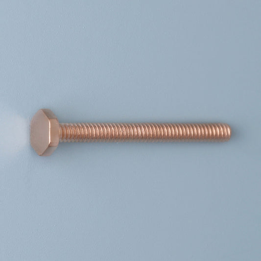 SR-8206 Zeskantschroef | M1.2 | Lengte 12.0 | Kop 2.5 | Rosé goud